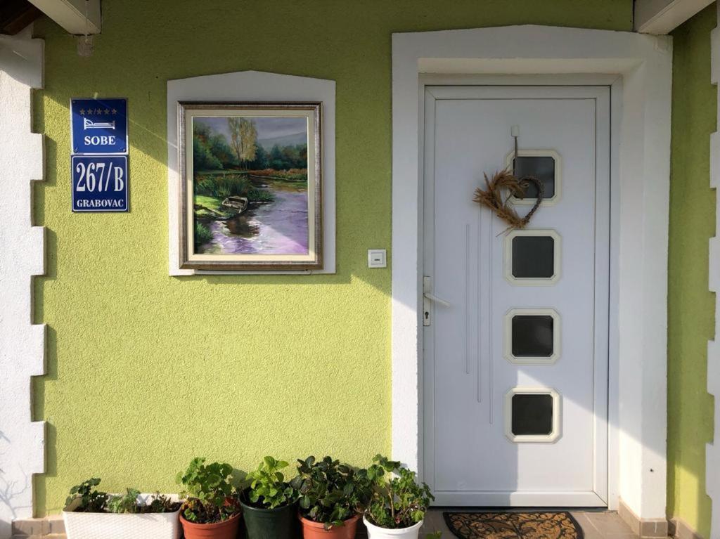 Hotel House Antonia Grabovac  Exteriér fotografie