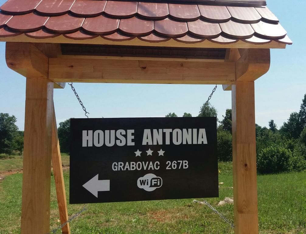 Hotel House Antonia Grabovac  Exteriér fotografie